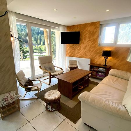 Apartament Aux Pieds Des Pistes 4/6 Personnes Gérardmer Zewnętrze zdjęcie