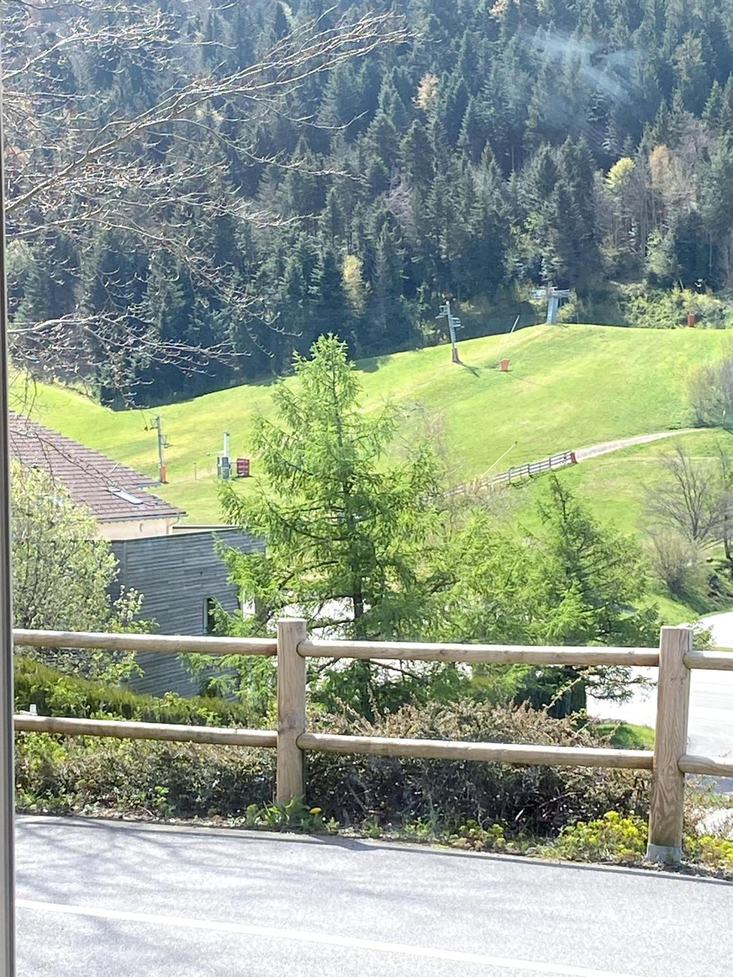 Apartament Aux Pieds Des Pistes 4/6 Personnes Gérardmer Zewnętrze zdjęcie